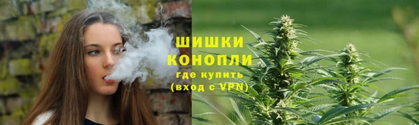метадон Богданович