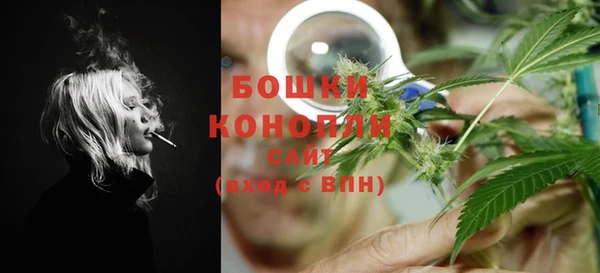 гидра Белокуриха