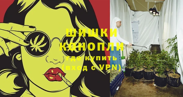 гидра Белокуриха