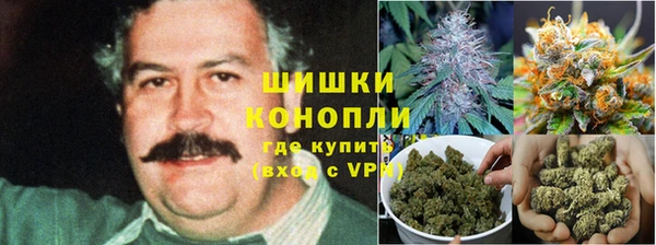 гидра Белокуриха