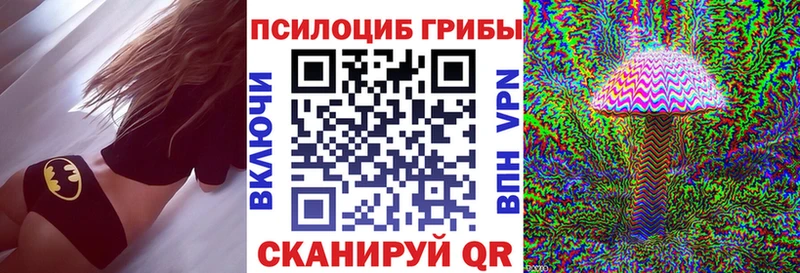Галлюциногенные грибы Cubensis  OMG ссылка  Дубна 